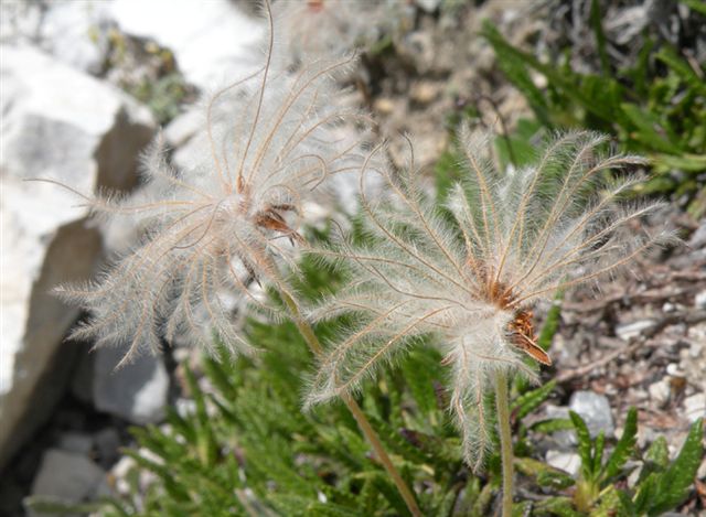 A zonzo sulle Dolomiti del Brenta 4